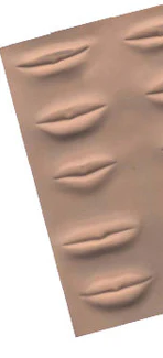 3D Practice Lips