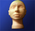 Mannequin Head