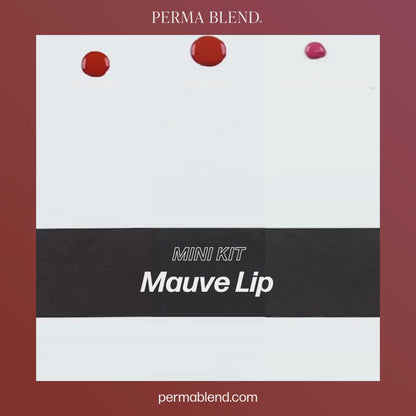 Mauve Lip Mini Set - Mauve, Nutmeg and French Fancy