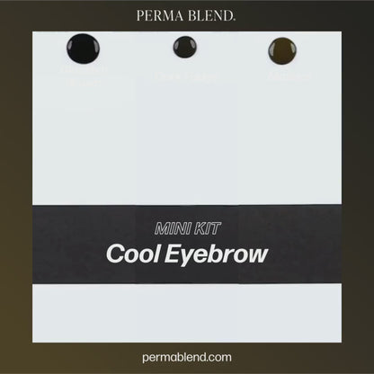 Cool Eyebrow Mini Set