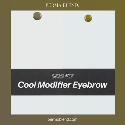 Cool Modifier Eyebrow Mini Set