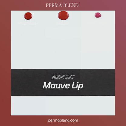 Mauve Lip Mini Set - Mauve, Wildflower and French Fancy